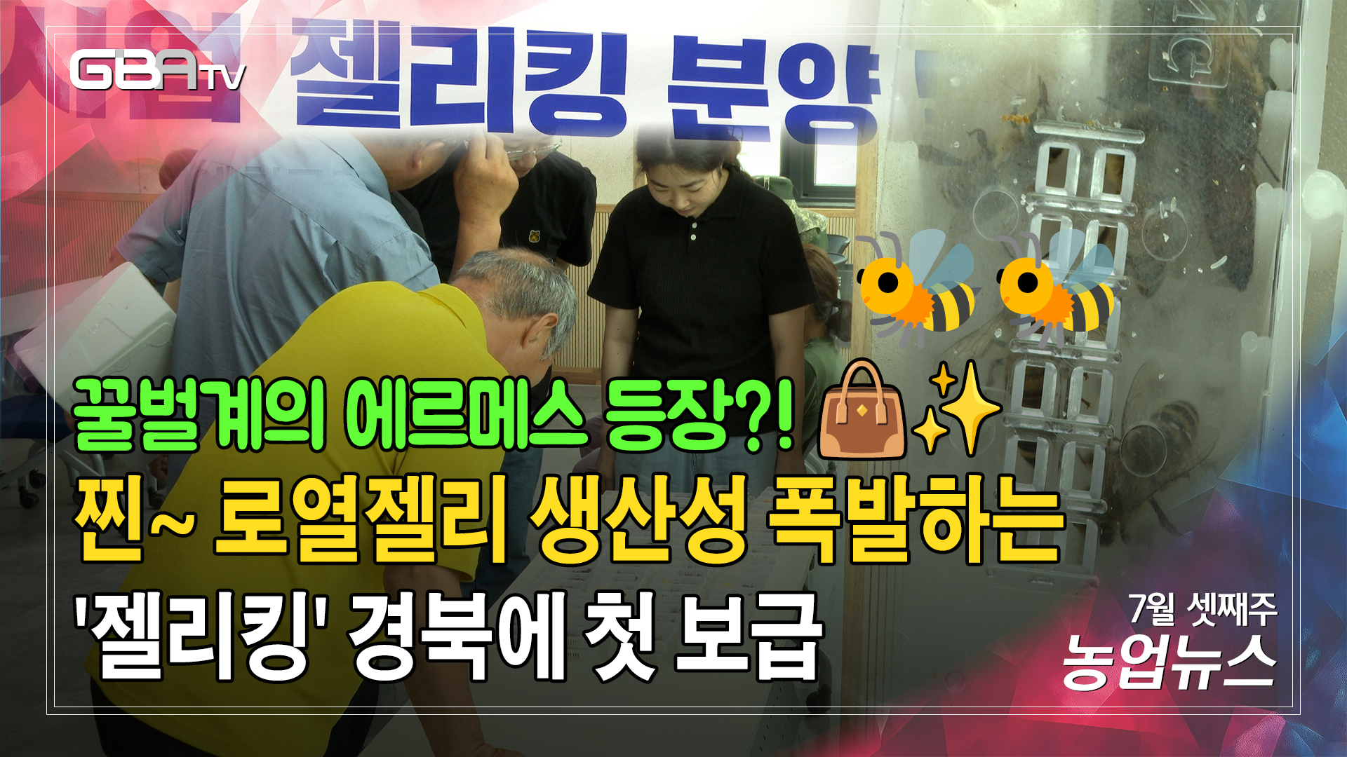 로열젤리 특화 신품종 '젤리킹' 경북에 첫 보급! 🐝