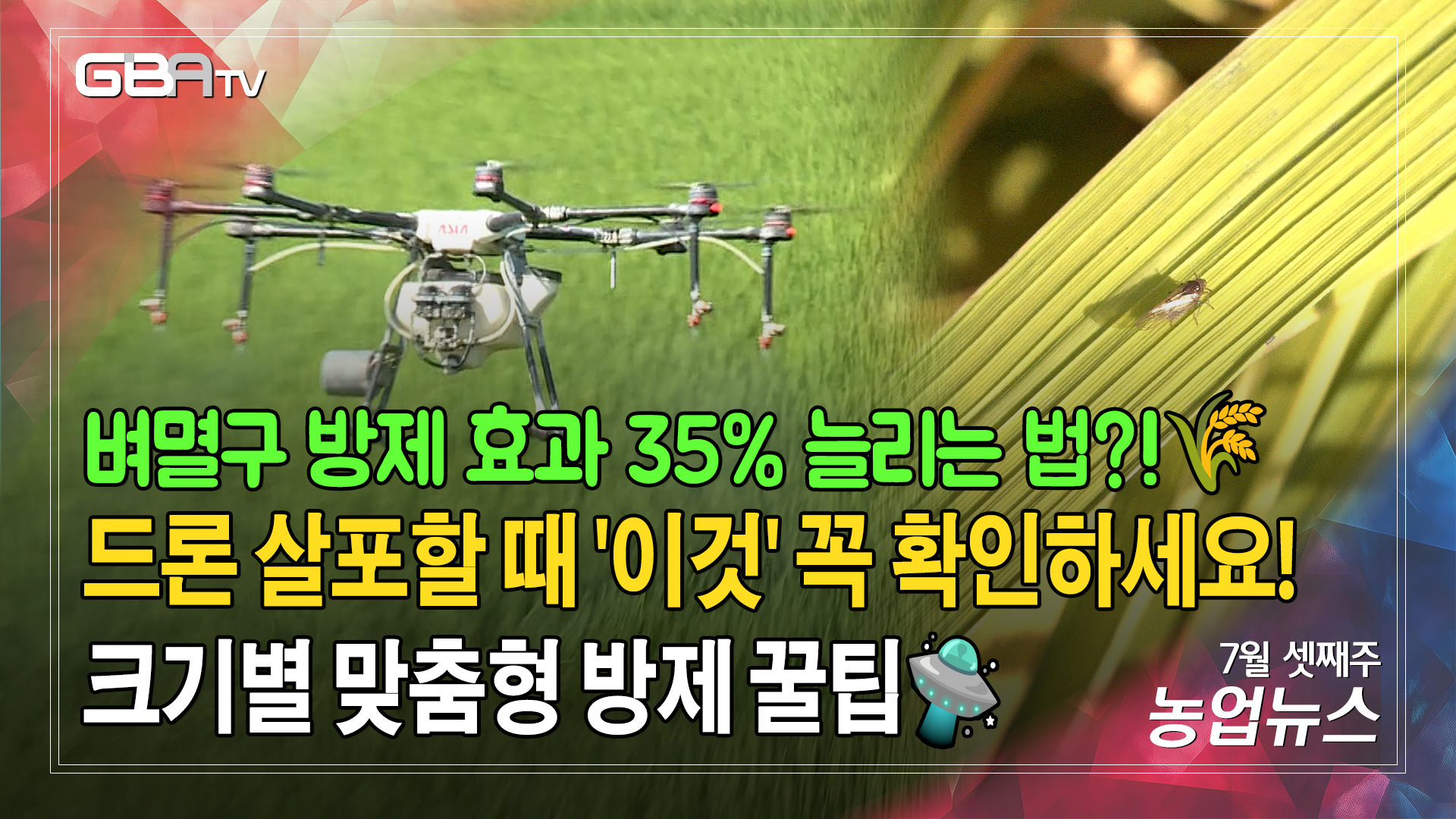 벼멸구 방제 효과 35% 늘리는 법? 드론 살포할 때 '이것'만 확인!🛸