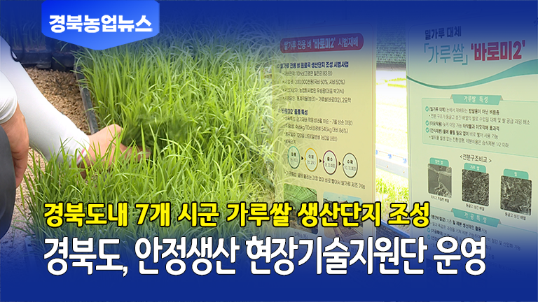 [5월 둘째주] 올해 경북 7개 시군에 가루쌀 생산단지 조성