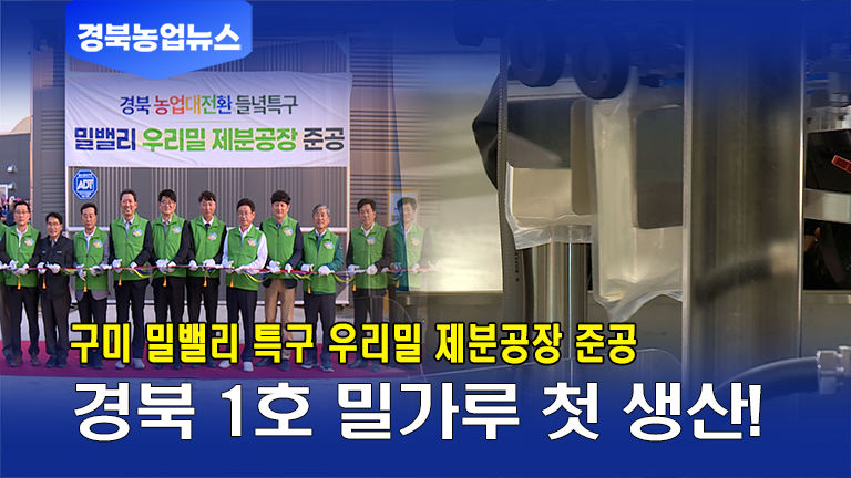[10월 첫째주] 구미 밀 밸리 들녘특구, 경북 1호 밀가루 첫 생산!