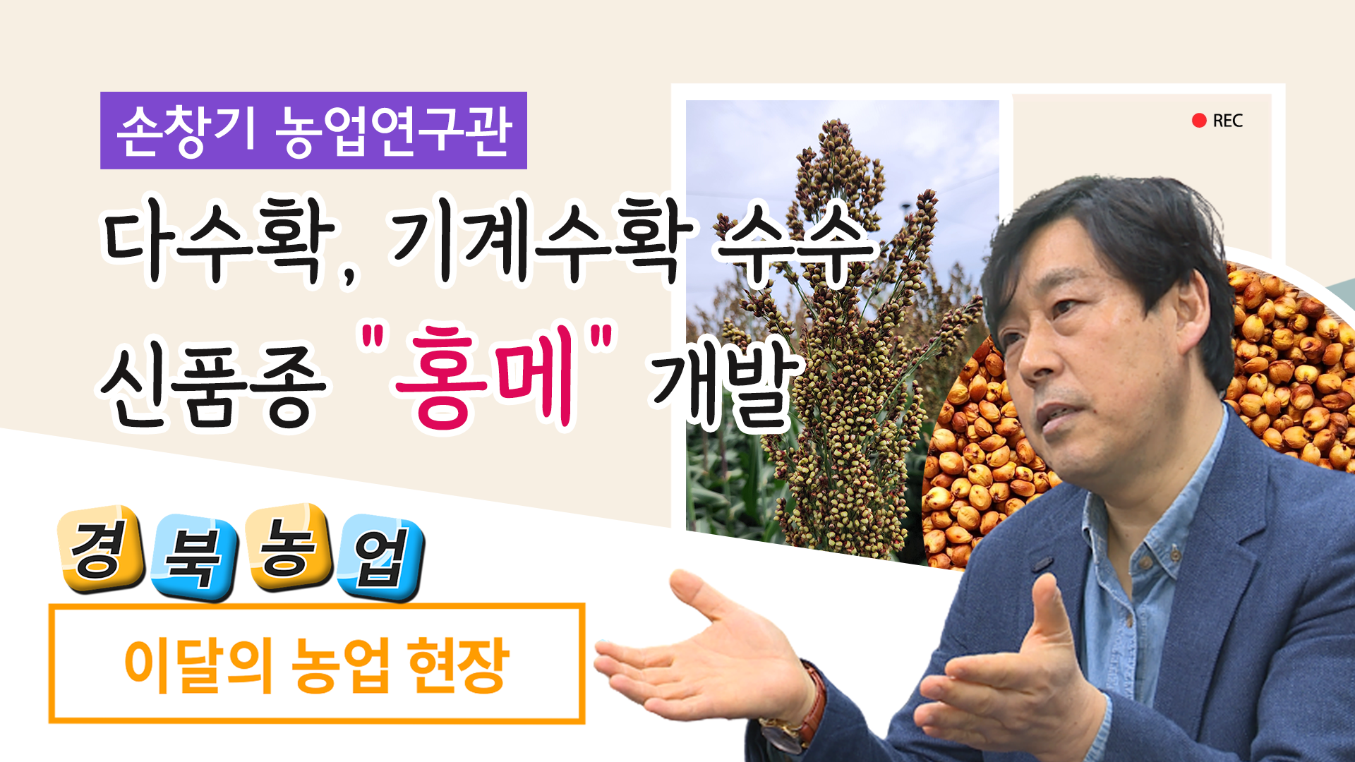 다수확 기계수확에 유리한 수수 신품종 ‘홍메’(농업현장 3회)