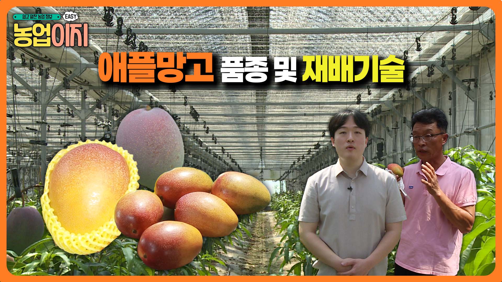 애플망고 품종 및 재배기술 - 2025 생생! 찾아가는 농업정보 25회