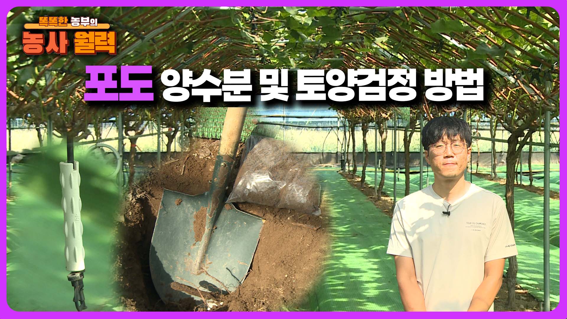 포도신품종 양수분관리 및 토양검정 - 2025 생생! 찾아가는 농업정보 30회