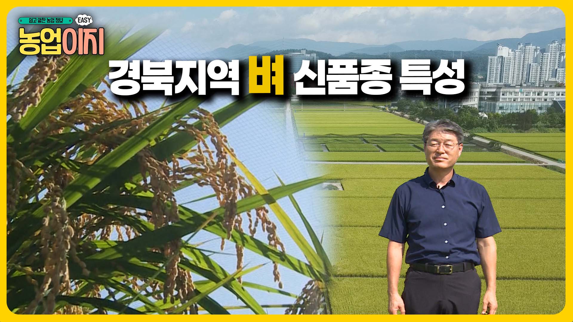 경북지역 벼 신품종 특성 소개 - 2025 생생! 찾아가는 농업정보 28회
